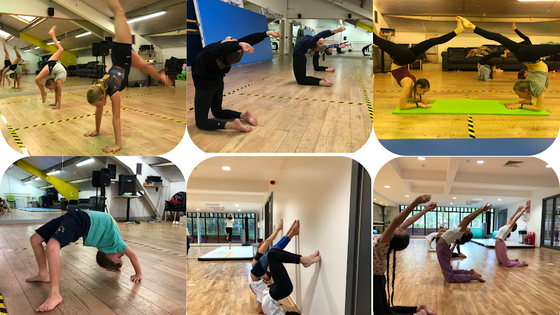 Terra Dacia Acrobatics (T.D.A) in South East