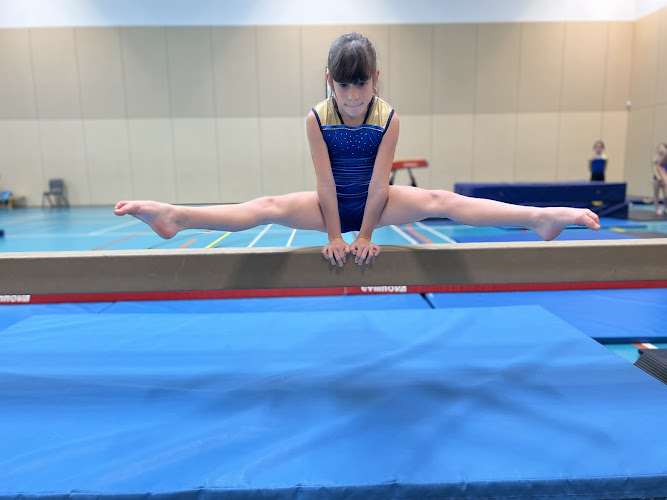 Wimbledon Gymnastics Centre in London